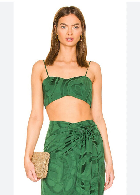 silvia tcherrasi dress